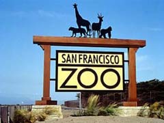 San Francisco Zoo